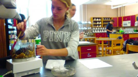 Experienced chef and business owner takes over the cooking classroom