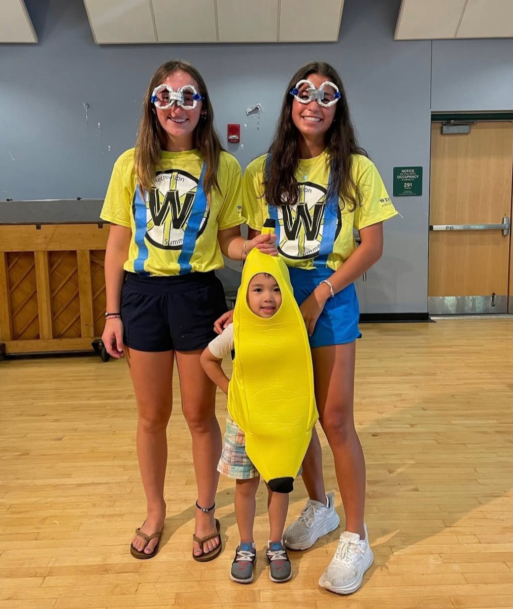 Emma Darling and colleague working at Weston Recreation Camp