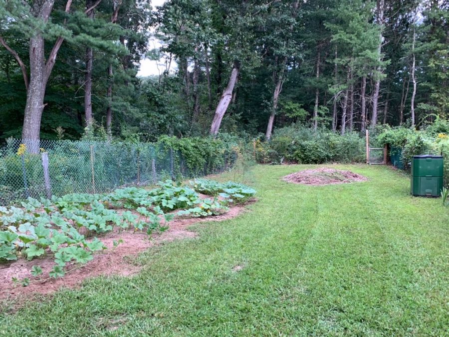 The plot of land where the Luu brothers compost food scraps and yard waste.