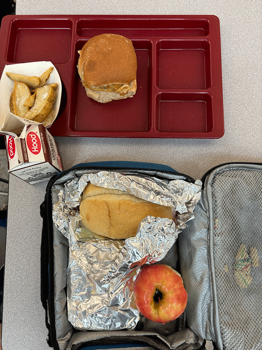 School lunch vs. lunch from home