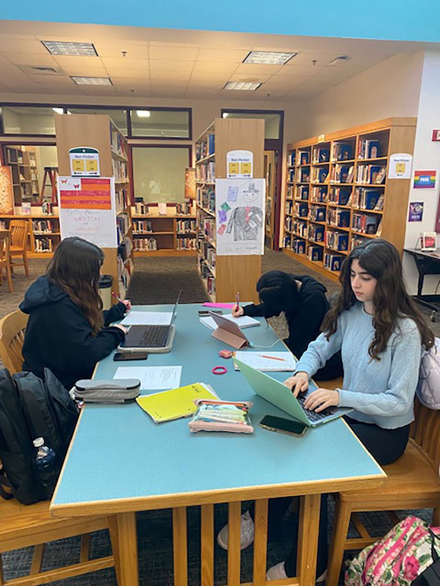 Students study in the library
