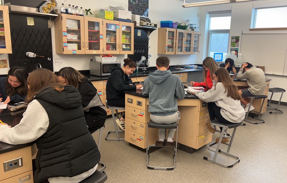 AP Biology students working on a lab