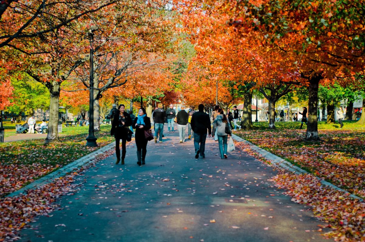 Fall foliage on the Boston Common               