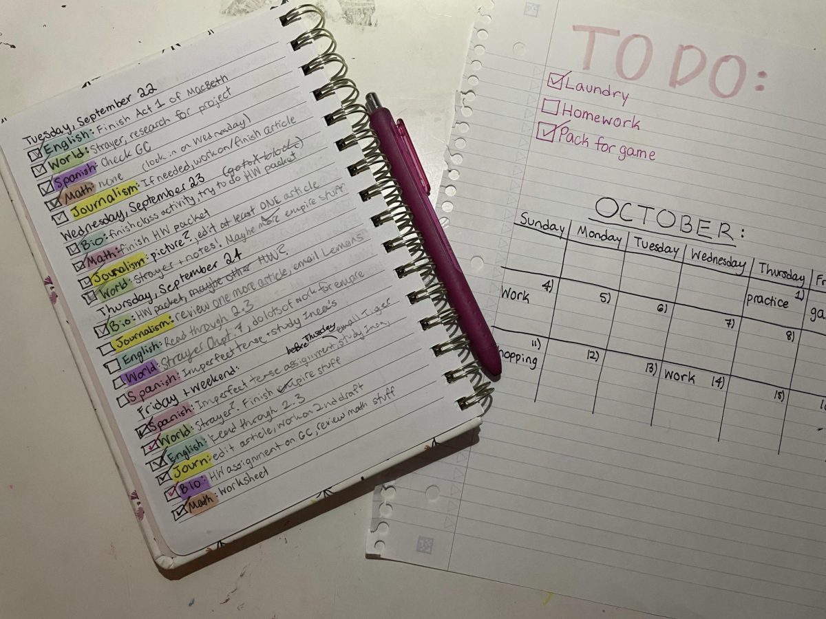 Student planner and calender can help with organization